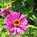 Profile Picture of Dawn Waller Duckwiler (@dawnduckwiler) on Pinterest