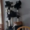 Profile Picture of Nathaniel & Brandy (@nathaniel.brandy) on Tiktok