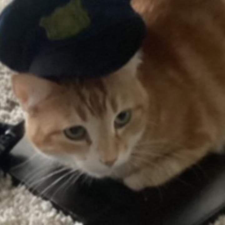 Profile Picture of BrianBrady (@garetxfvkw0) on Tiktok