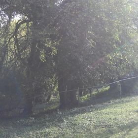 Profile Picture of Marshall Creed (@darrisavery) on Pinterest