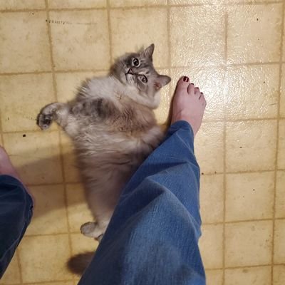 Profile Picture of Loretta Neal (@Loretta47012902) on Twitter