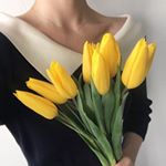 Profile Picture of 김진솔 (@js_kim_) on Instagram