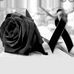 Profile Picture of Sandra Pimienta (@sandra.pimienta.129) on Facebook