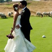 Profile Picture of Beth Ketchmark Ryan (@ciaobella79) on Pinterest