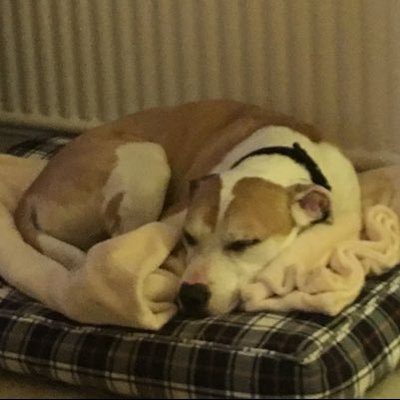 Profile Picture of Kim Darnell (@kimdarnell16) on Twitter