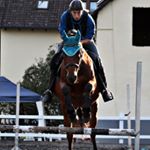 Profile Picture of Markus Wiesmayer (@wiesikus.wmy99) on Instagram