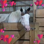 Profile Picture of Terry Hamrick (@terry.hamrick.731) on Instagram