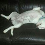 Profile Picture of David Barbour (@davidbarbour1979) on Instagram