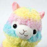 Profile Picture of Aaron Blossom (@aaron.alpaga) on Instagram