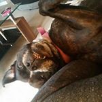 Profile Picture of Graham Gill (@graham.gill.752) on Instagram