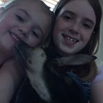 Profile Picture of Josie,buddy And Ivy (@w_josie_w) on Instagram