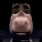 Profile Picture of Andrew Dischinger (@andrew.dischinger.2025) on Facebook