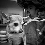 Profile Picture of Adam Goldner (@adam_goldner) on Instagram