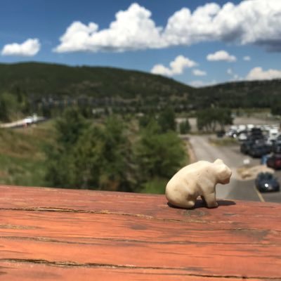 Profile Picture of Karl The Bear (@KarltheBear0806) on Twitter