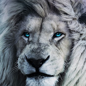 Profile Picture of Derrick Kim (@derrickkim5239) on Youtube