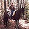 Profile Picture of Carrie Morris (@backwoodsmama65) on Flickr