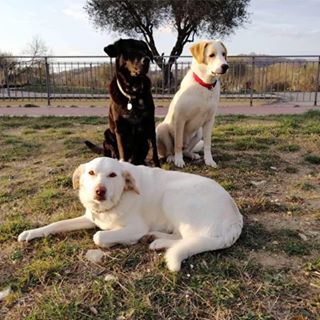 Profile Picture of Riccardo Cafaro (@riccardocafaro) on Facebook