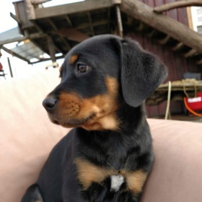 Profile Picture of Mason Hicks (@MaZinHiggZ__) on Twitter