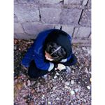 Profile Picture of asal.nasiri (@asal_plak17) on Instagram