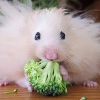 Profile Picture of Luanne Cox (@luanne-cox-1) on Quora