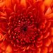 Profile Picture of Abdullah Alawdi (@alawdi71111) on Pinterest