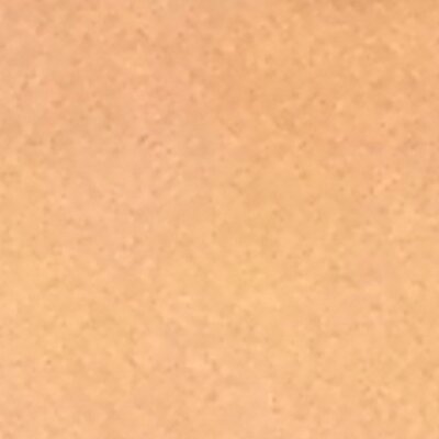 Profile Picture of Nick Spinella (@Chip1226) on Twitter