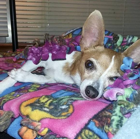 Profile Picture of John Ames (@john_ames) on Poshmark