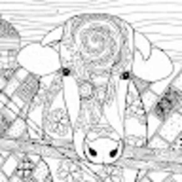 Profile Picture of Natalie Capetillo (@ncapetillo) on Poshmark