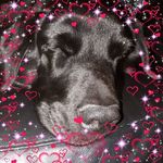 Profile Picture of Ruth Lloyd (@ruth.harvey.752) on Instagram