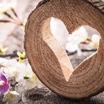 Profile Picture of Peter Hout (@peterhout86) on Instagram