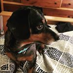 Profile Picture of Brendan, O'Reilly (@bmo_oreilly) on Instagram