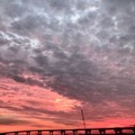 Profile Picture of Kim Hutcheson (@khutcheson66) on Instagram