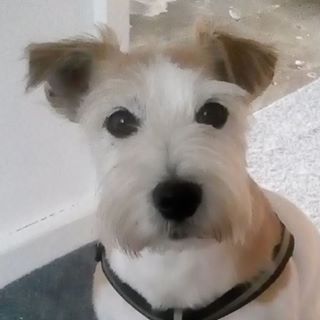 Profile Picture of Peter Golightly (@peter.golightly.3) on Facebook