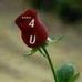 Profile Picture of Binyam Hailu (@binyam.hailu.73) on Facebook