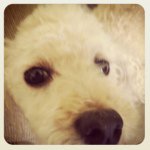 Profile Picture of Dawn Moyer (@drumsmom) on Instagram