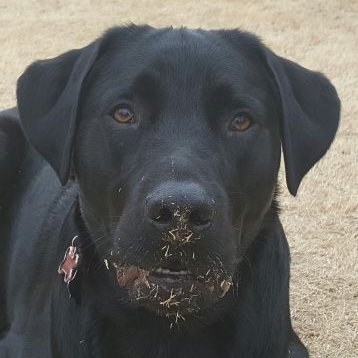 Mike Hinsch - Twitter Profile Picture of Mike Hinsch (@mrhinsch13) on Twitter