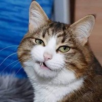 Profile Picture of Hung Dinh (@hung-dinh-2) on Quora