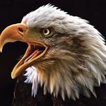 Brad Thrower - Instagram Profile Picture of Brad Thrower (@thrower.brad) on Instagram