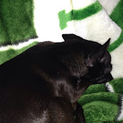 Profile Picture of Justin Gibson (@justingibson571) on Youtube