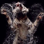 Profile Picture of paulcolonna2a (@paulcolonna2a) on Instagram