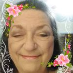 Profile Picture of Diane Scalici (@dianescalici) on Instagram