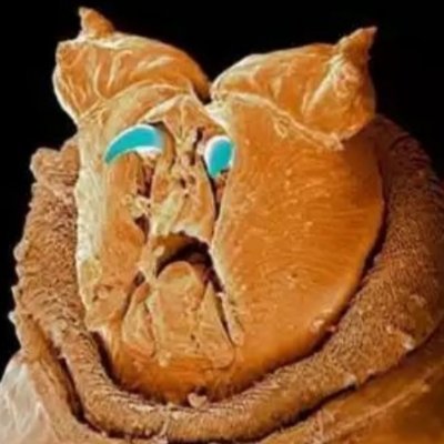 Derek Allen - Communist Robinson V. 2.0 - Twitter Profile Picture of Derek Allen - Communist Robinson V. 2.0 (@DerekAl82476166) on Twitter