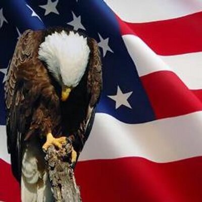 Profile Picture of Vicki Bissett Rhea (@vrhea55) on Twitter