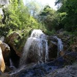 Robert Reichel - Instagram Profile Picture of Robert Reichel (@robert.reichel) on Instagram