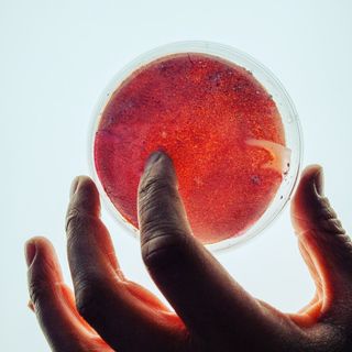 Profile Picture of Ruth Lloyd (@ruth_lloyd_design) on Instagram