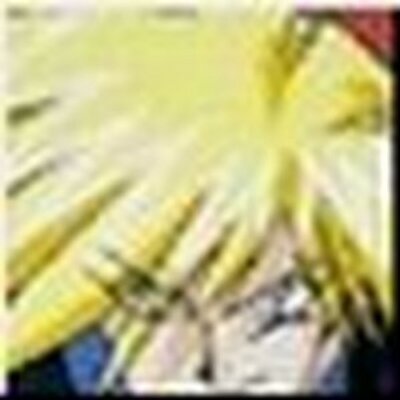 Profile Picture of Aimee Flowers (@@AimeeF_70) on Twitter