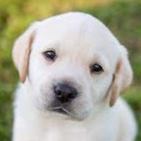 Profile Picture of Thomas Max (@thomas-max-13) on Quora