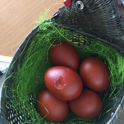 Profile Picture of Hans Alberts (@HansAlberts5) on Twitter
