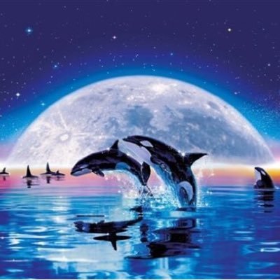 Profile Picture of Denis FENG (@denis_feng) on Twitter