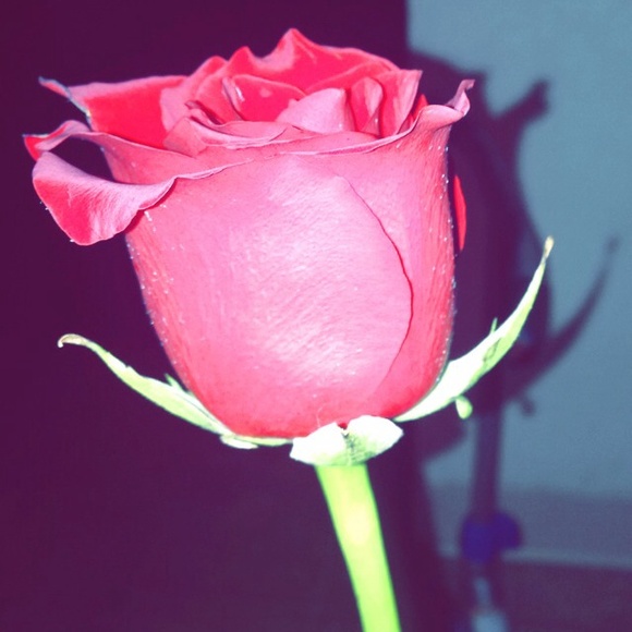 Profile Picture of Cassandra Beltran (@cassieisclassy) on Poshmark